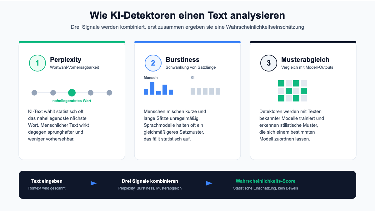 Grafik: Wie KI-Detektoren einen Text analysieren, drei Signale Perplexity, Burstiness und Musterabgleich