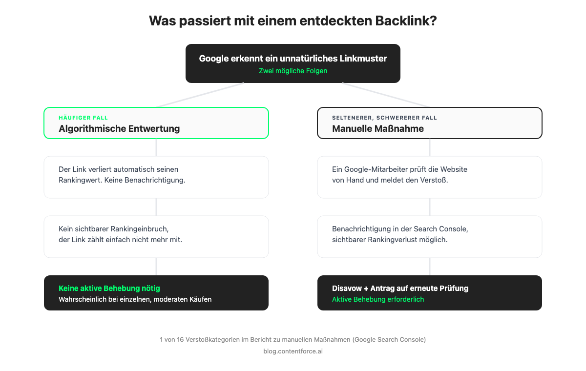 Diagramm: Algorithmische Entwertung versus manuelle Maßnahme bei gekauften Backlinks